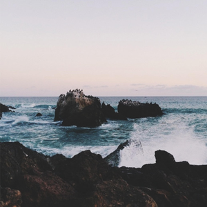 按在墙上抽插胸部晃动同学
